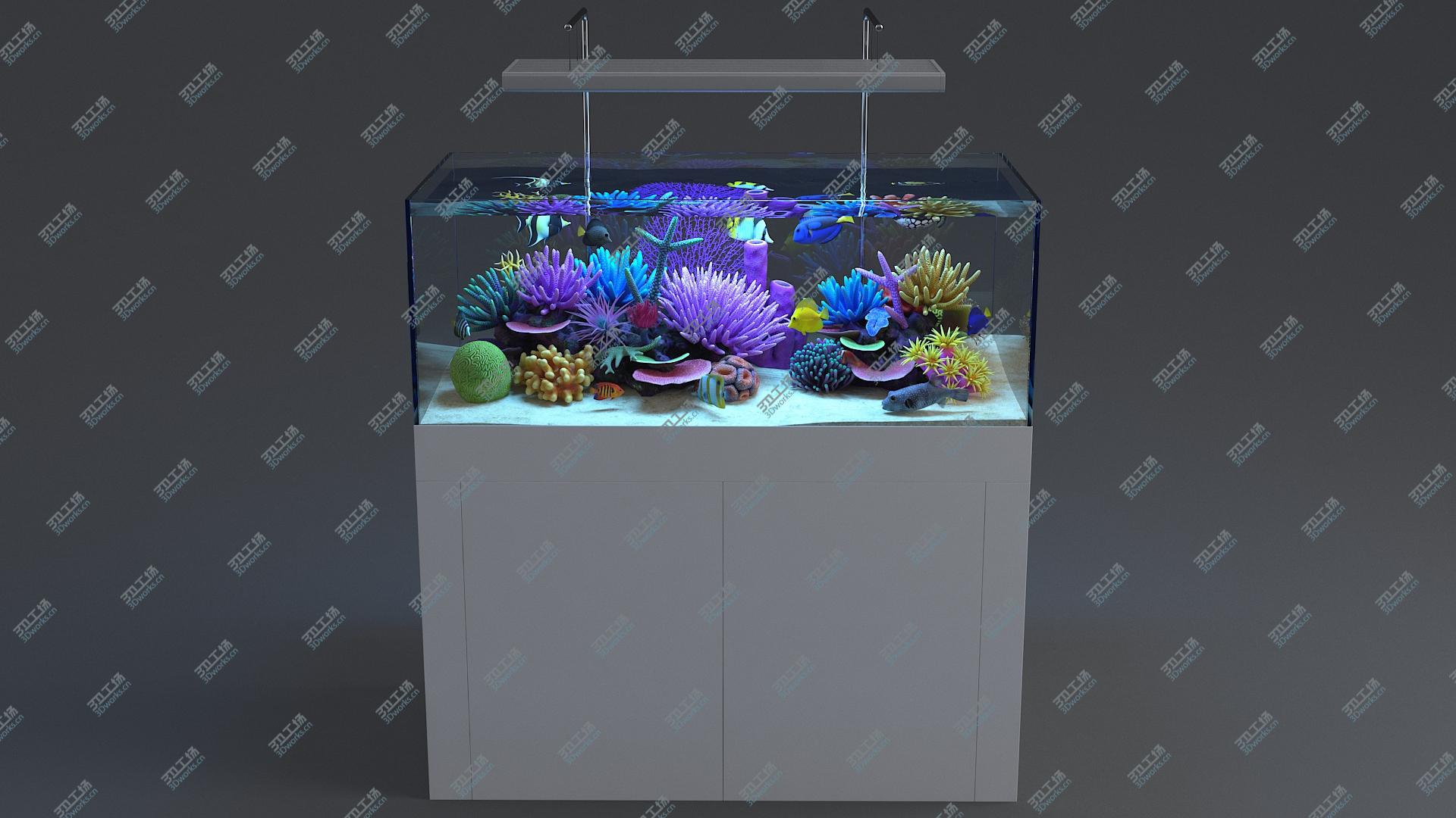 images/goods_img/202104093/3D Aquarium 01 model/3.jpg